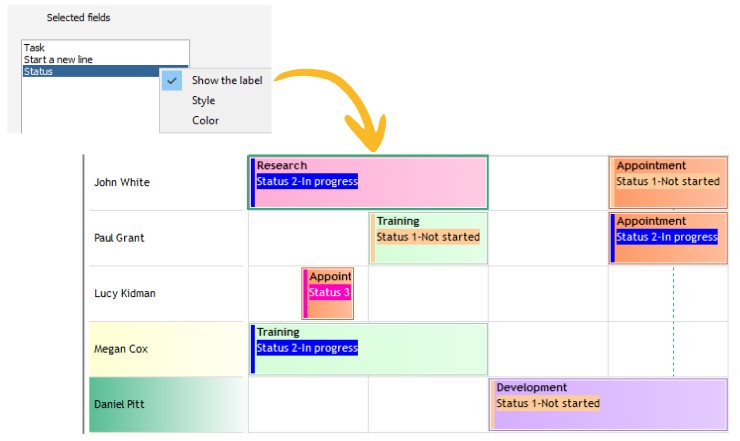 Display a field label in the description